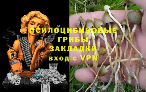 mdpv Зерноград