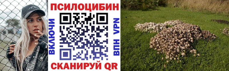 Галлюциногенные грибы мухоморы  Сольвычегодск 